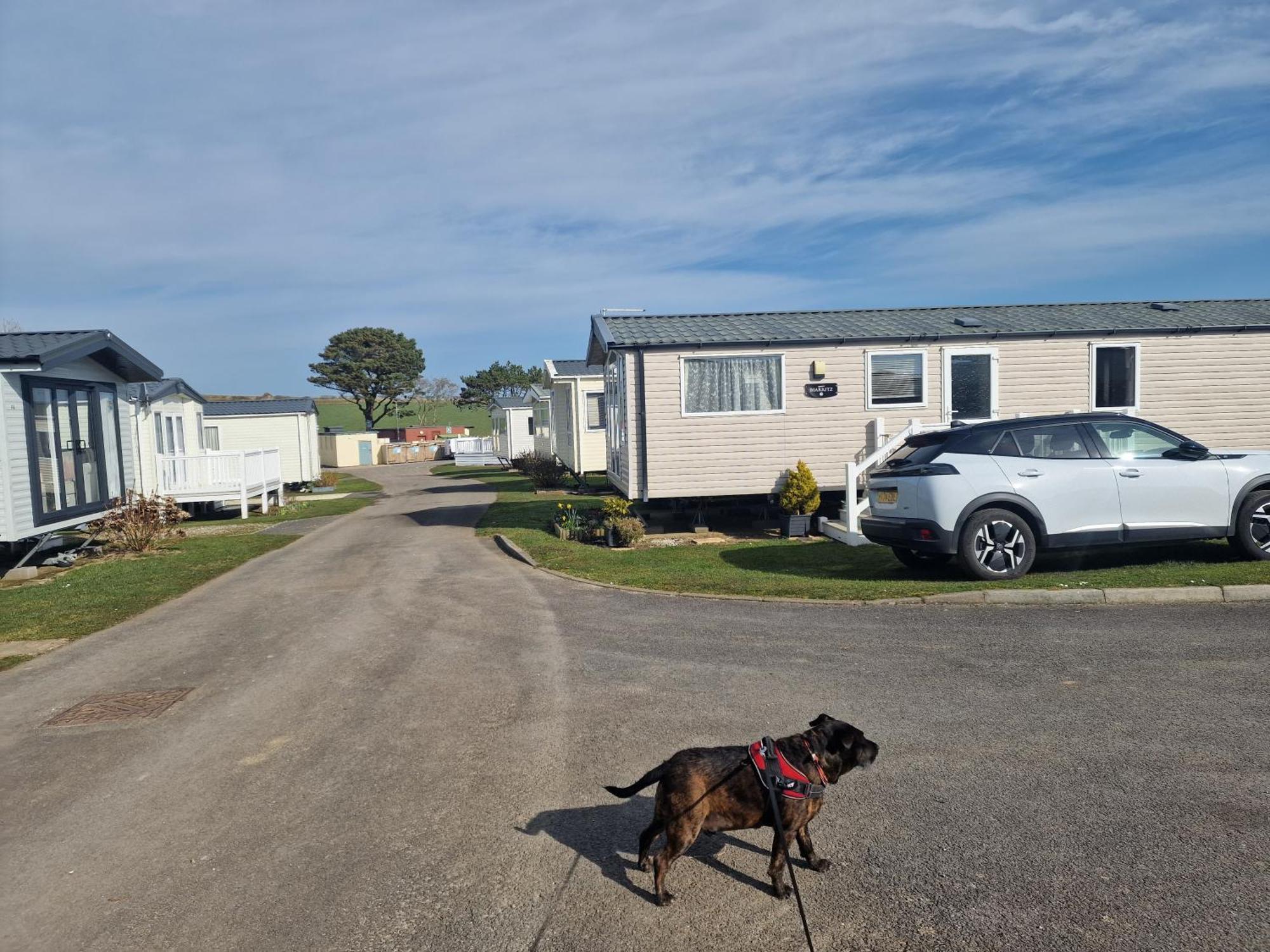 Durdlee Door, D27, Main Rd, West Lulworth, Wareham Bh20 5Pu Hotel Buitenkant foto